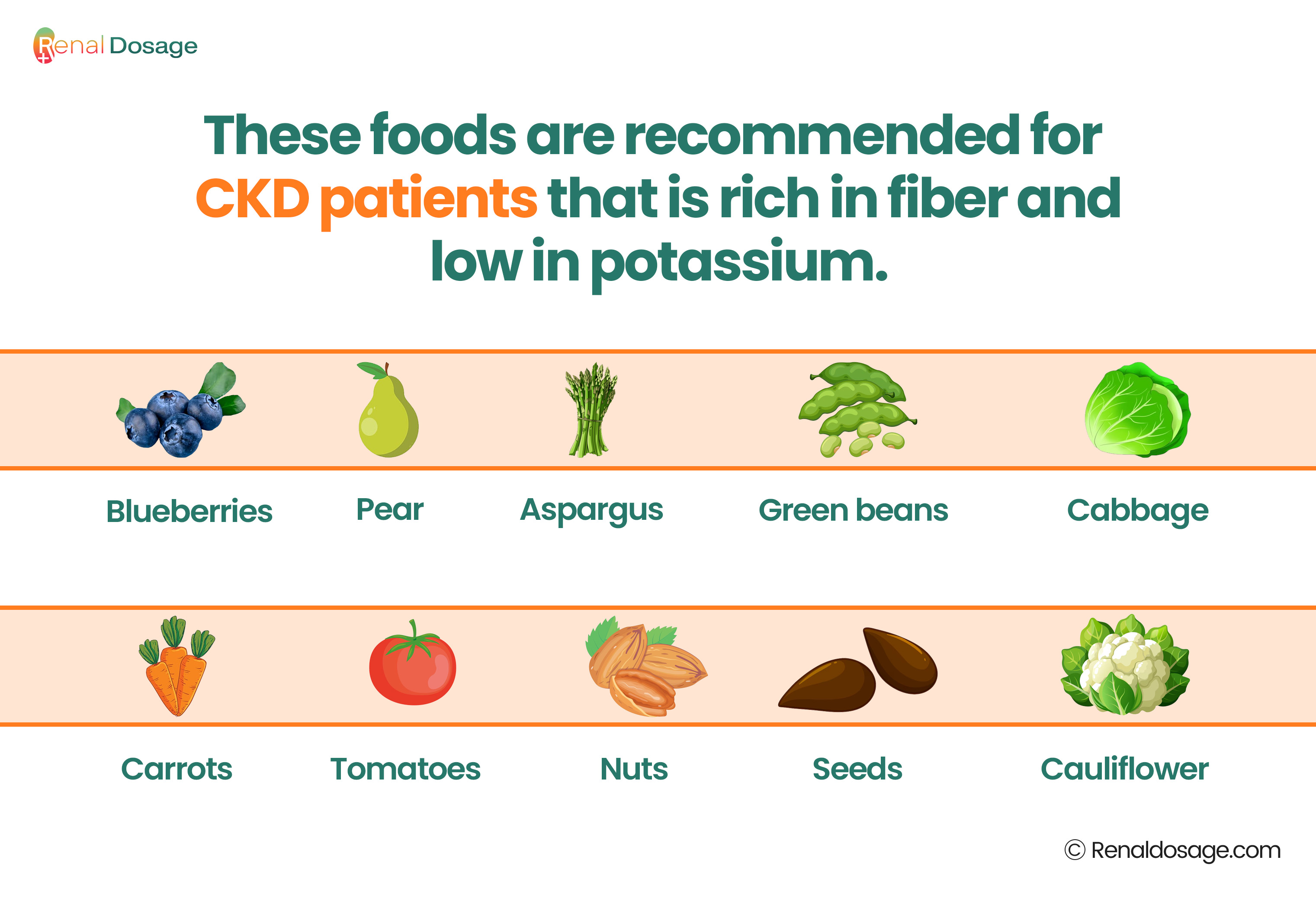 RenalDosage - Carbohydrate Counting with CKD: Guide for Kidney